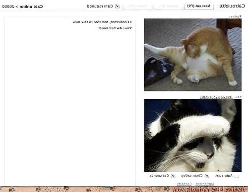 22P Chatroulette fun