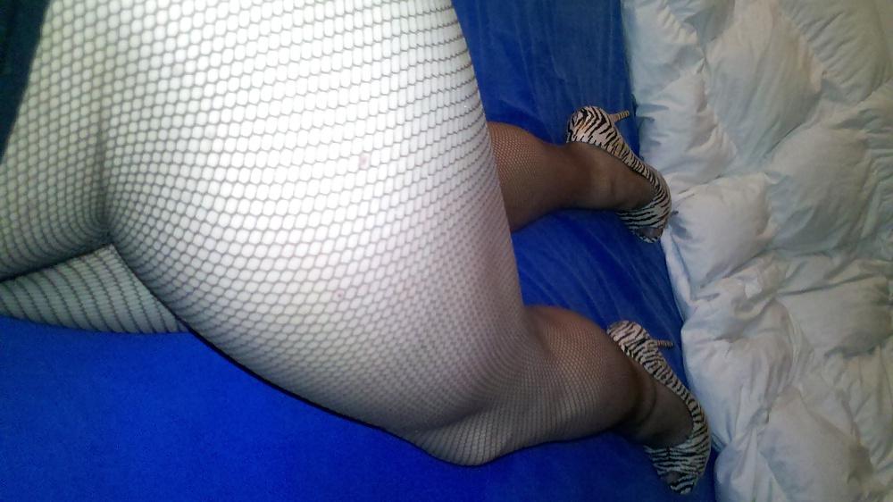12P Fishnet brown 2