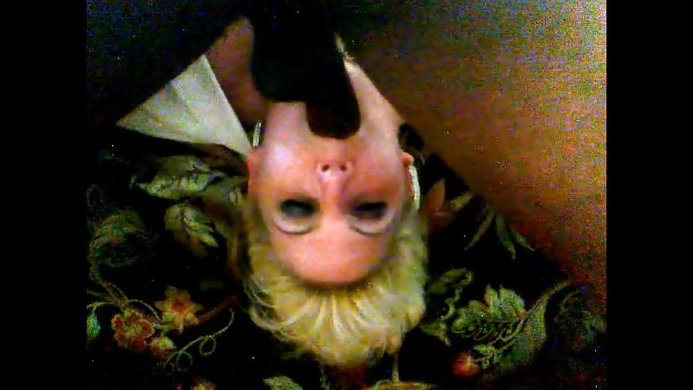 25P My wife suking and fucking black cocks
