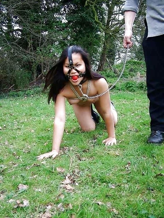 25P BDSM MiX#23 (PeT-Girls) by DarKKo