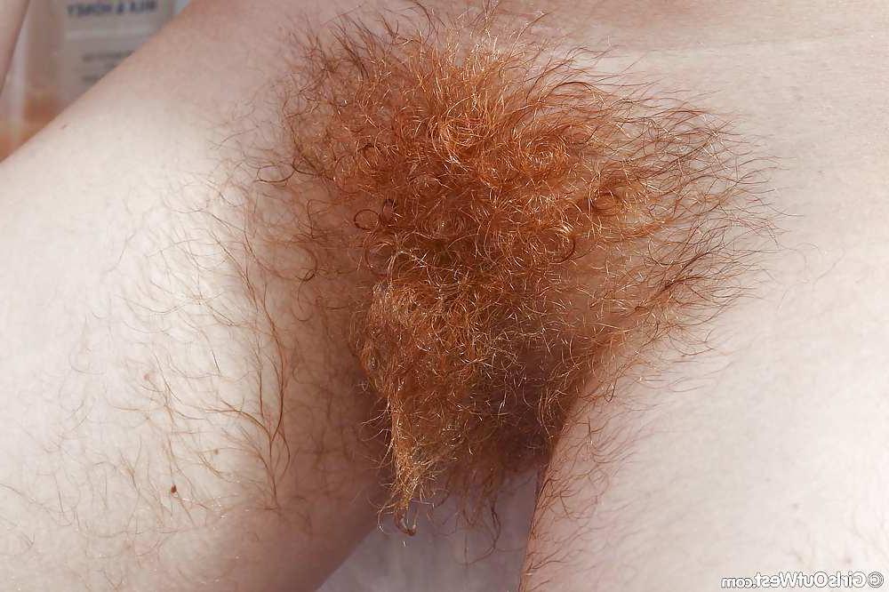 15P Hairy lesbian pussies