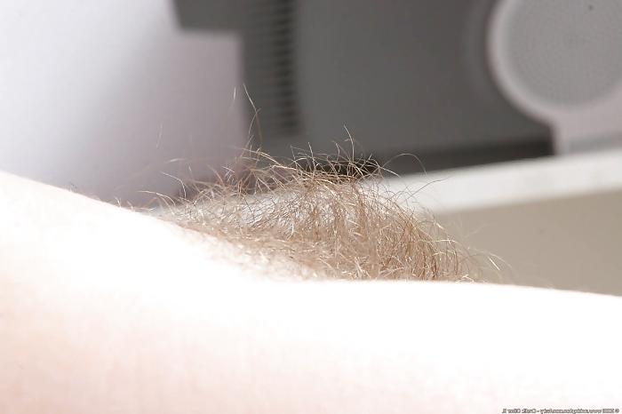 17P Young girls with hairy butts, pitts and pussys.