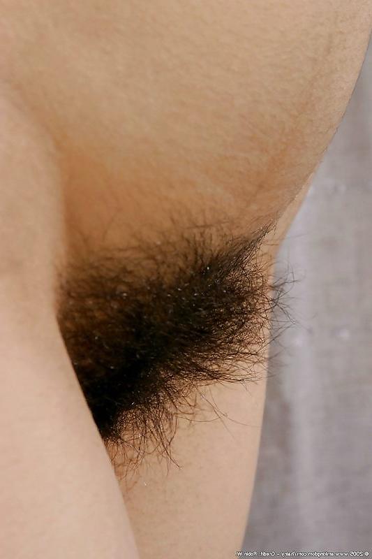 17P Young girls with hairy butts, pitts and pussys.