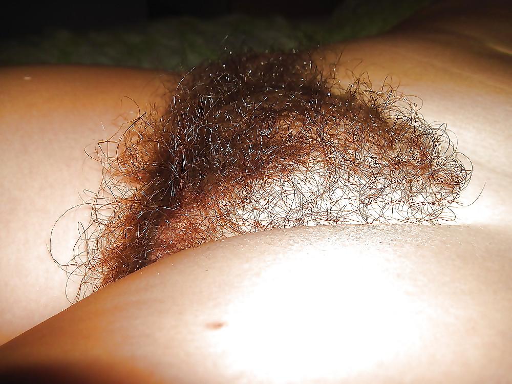 24P FIGA PELOSA 25 HAIRY PUSSY,CONO PELUDO,CHATTE POILUE