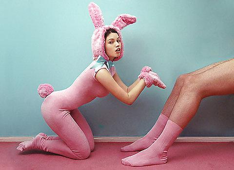 21P Kittens and Bunny 24! (And 1 pig!)