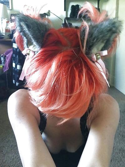 21P Kittens and Bunny 24! (And 1 pig!)