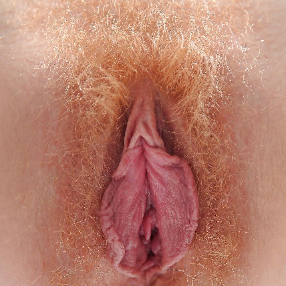 25P HAIRY PUSSY