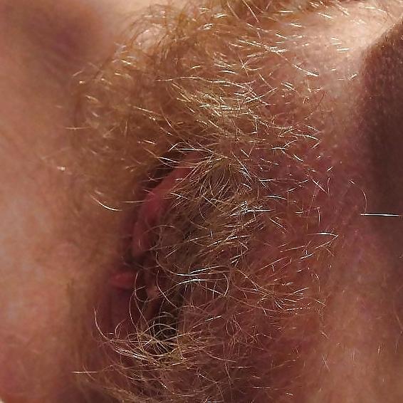 25P HAIRY PUSSY