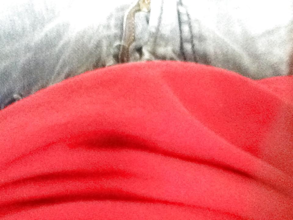 25P Dick Pics on my Bus