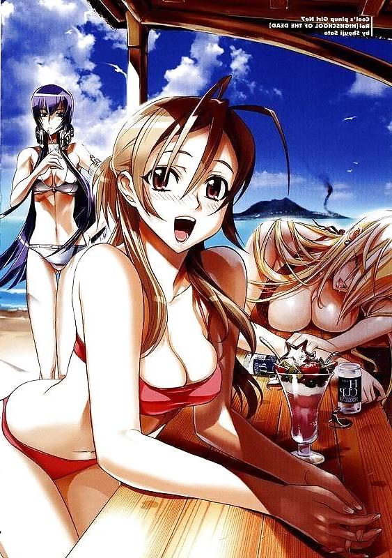 17P Girls of the High School of the Dead