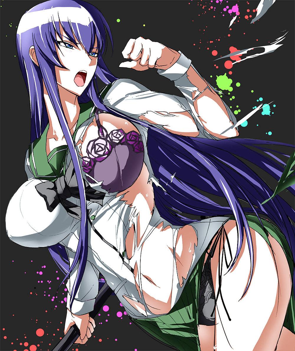 17P Girls of the High School of the Dead