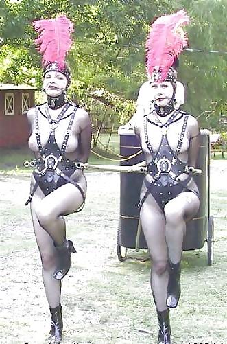25P Bdsm mix