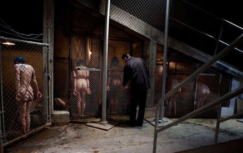 20P BDSM slaves 7