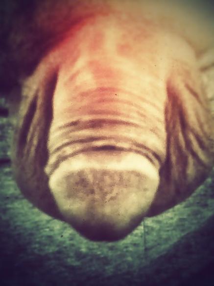 4P My close-ups