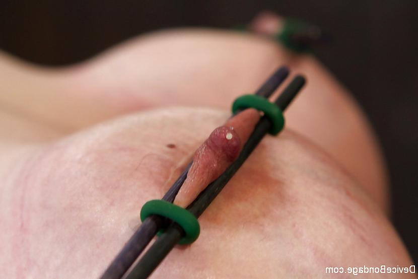 25P Felony bdsm mix