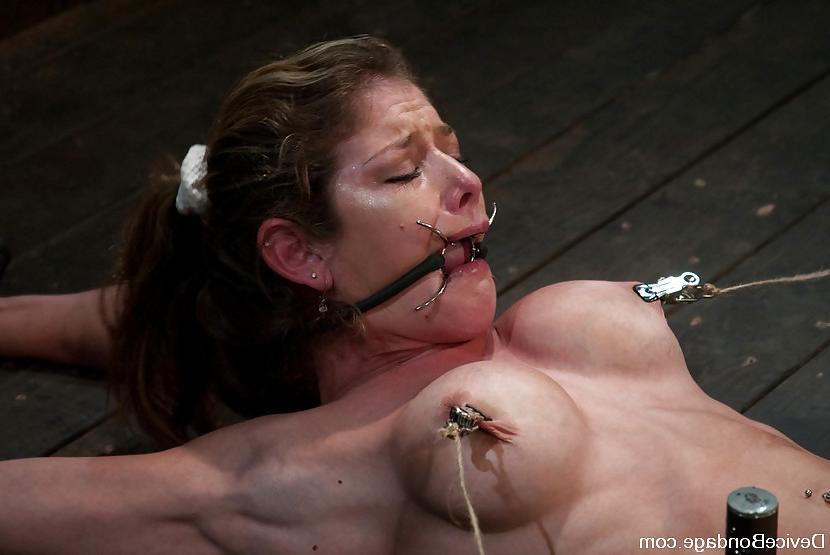 25P Felony bdsm mix
