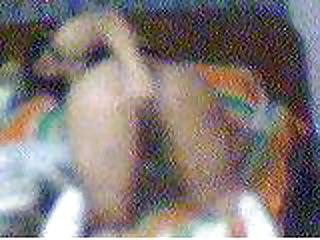 25P Mee by Rahima khan
