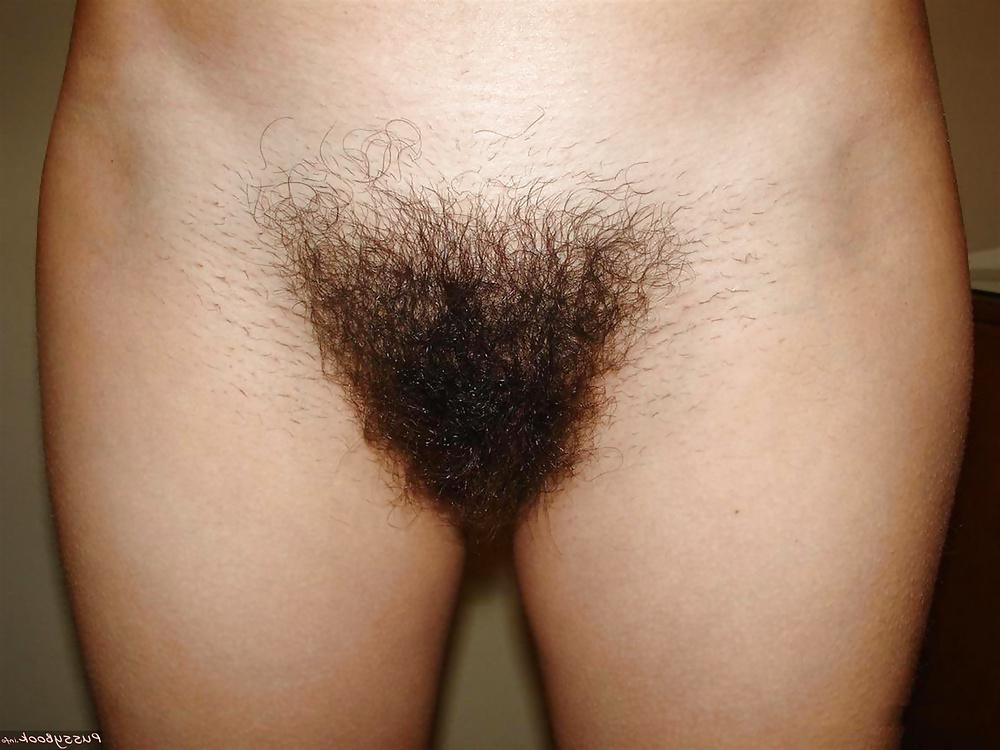 25P FIGA PELOSA 30 HAIRY PUSSY CONO PELUDO CHATTE POILUE