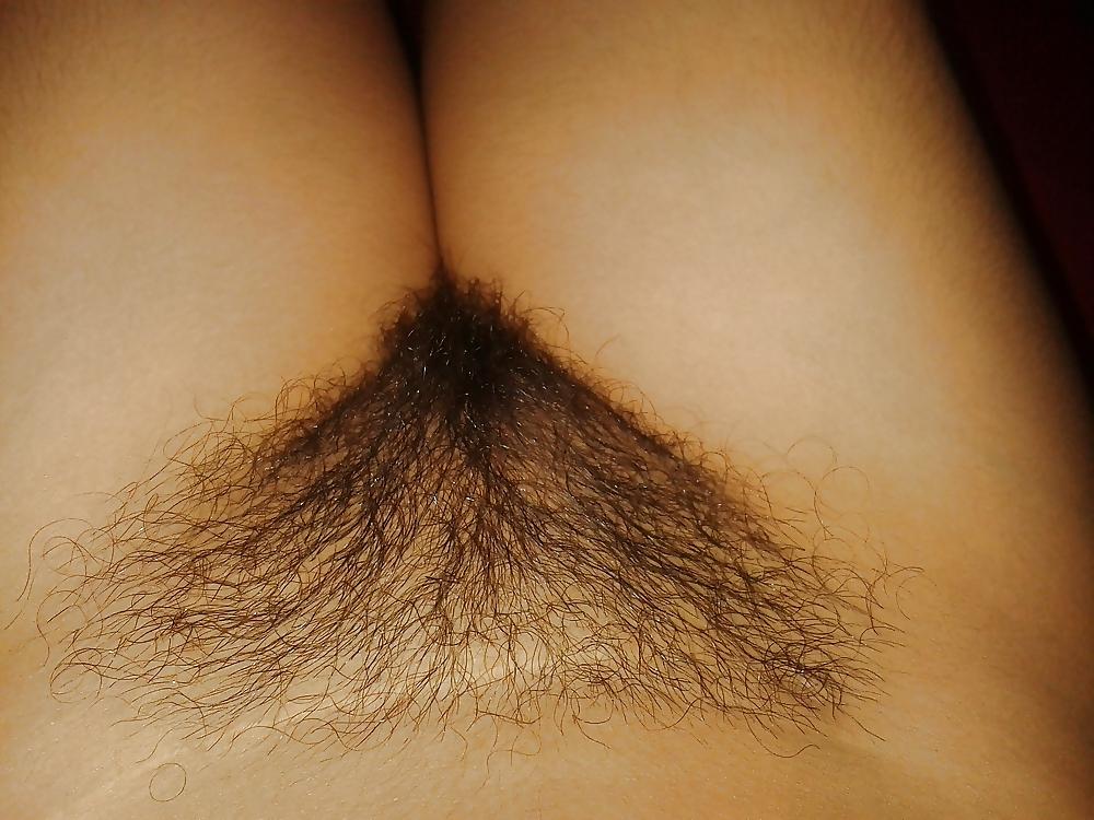 25P FIGA PELOSA 30 HAIRY PUSSY CONO PELUDO CHATTE POILUE