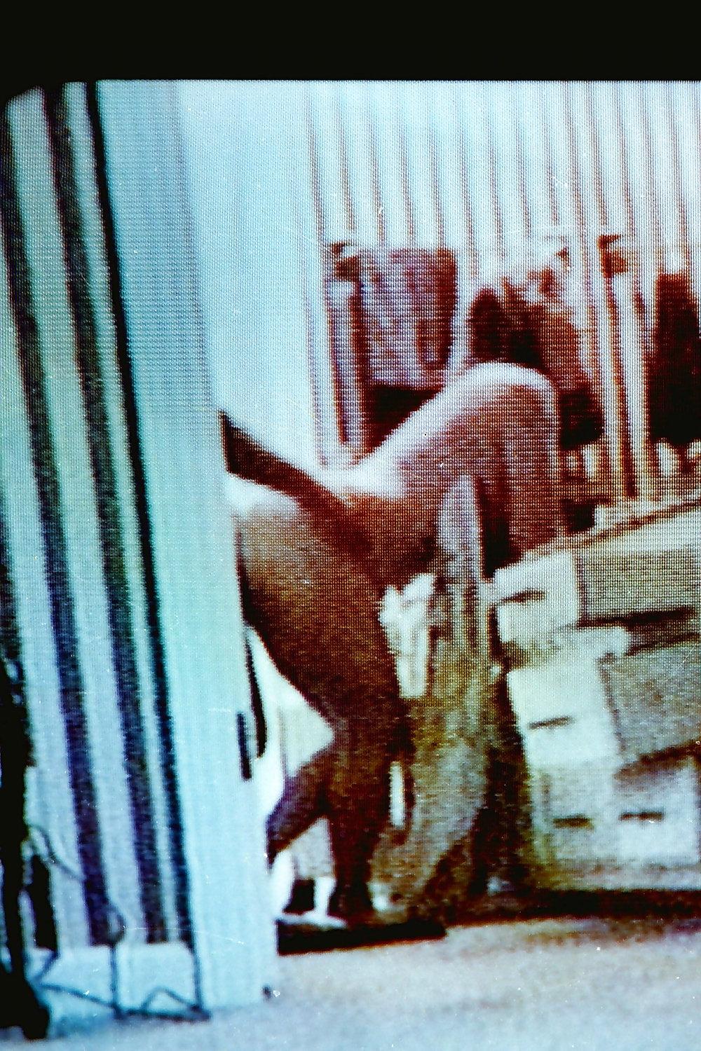 18P Wife love 3somes and gangbanging