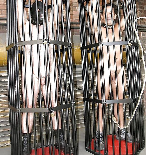 5P Bdsm