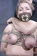 9P Cool bdsm pictures