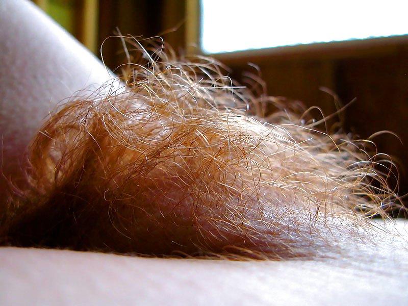 25P Hairy women 4