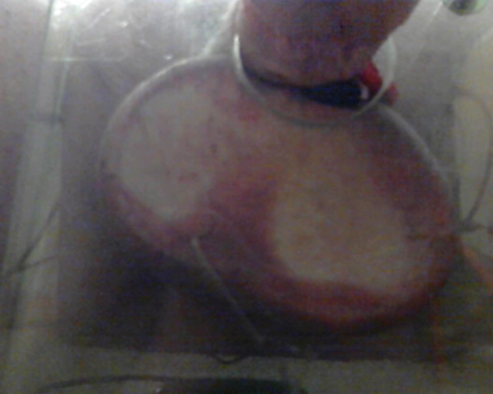 14P Using my new toy!!!!