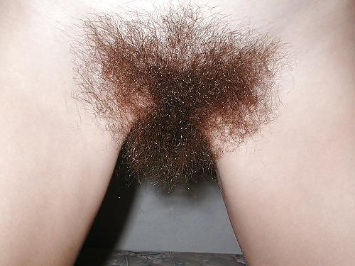 24P Hairy Pussy