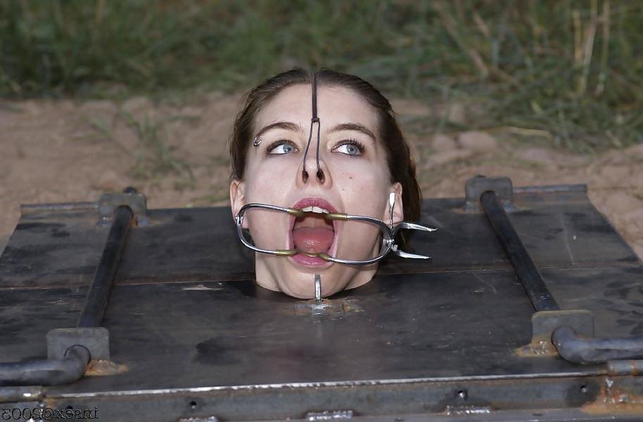 17P Insex bdsm 3