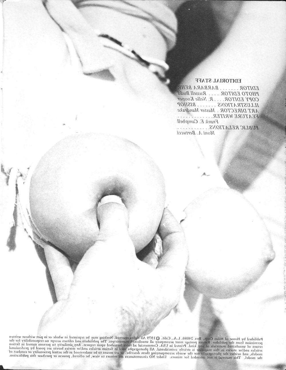 14P Retro BDSM book
