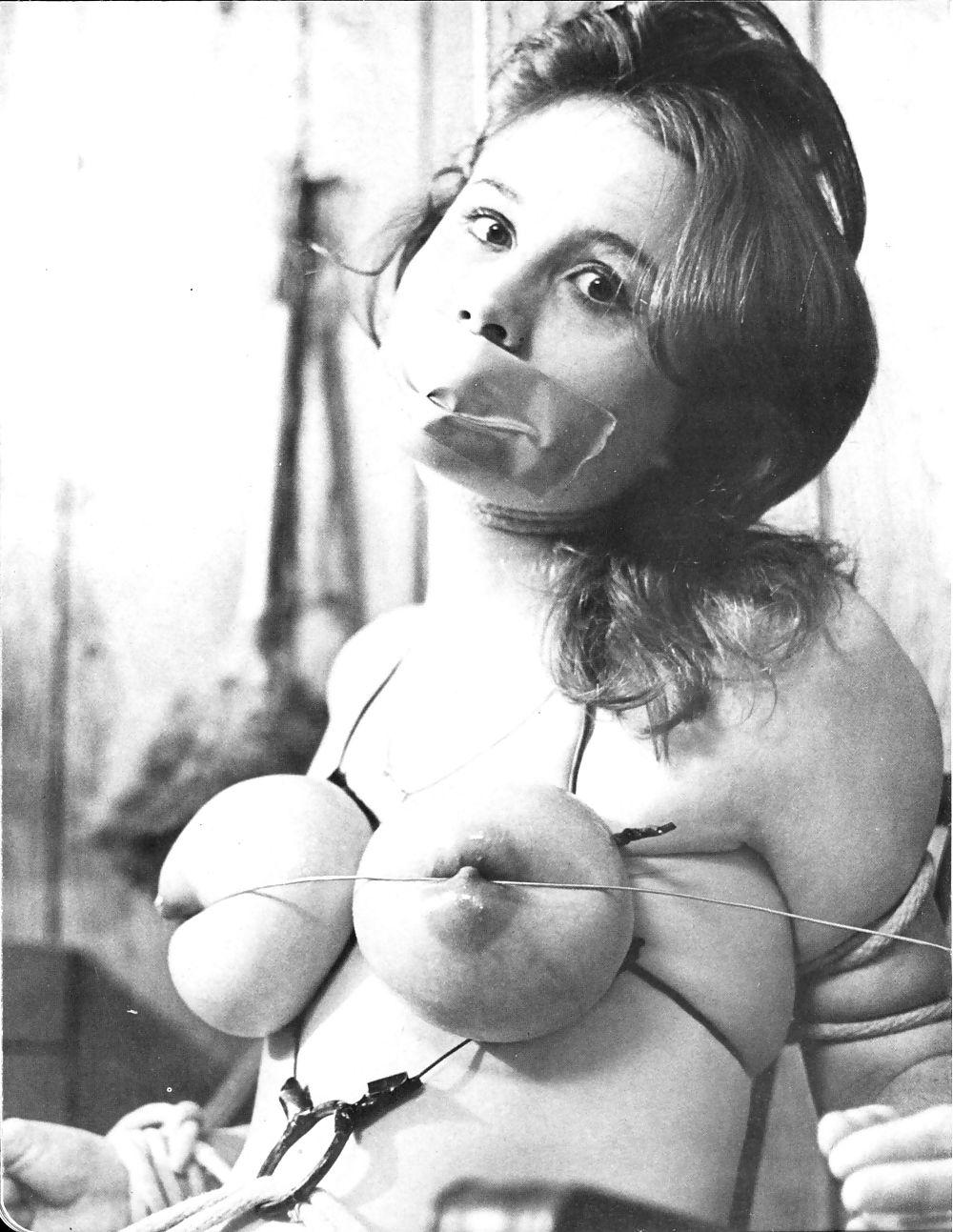 14P Retro BDSM book