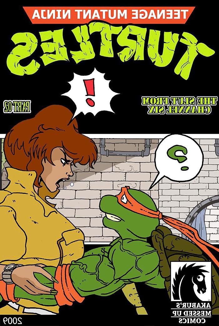 23P NINJA TURTLES