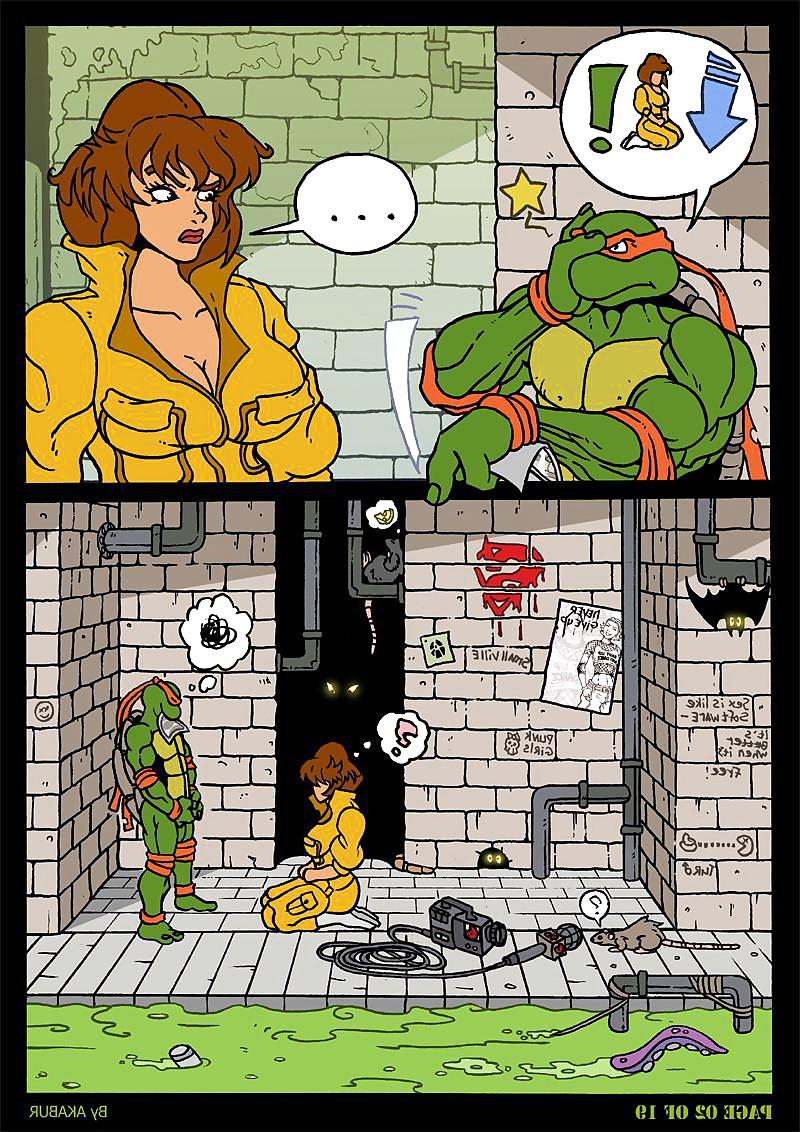 23P NINJA TURTLES