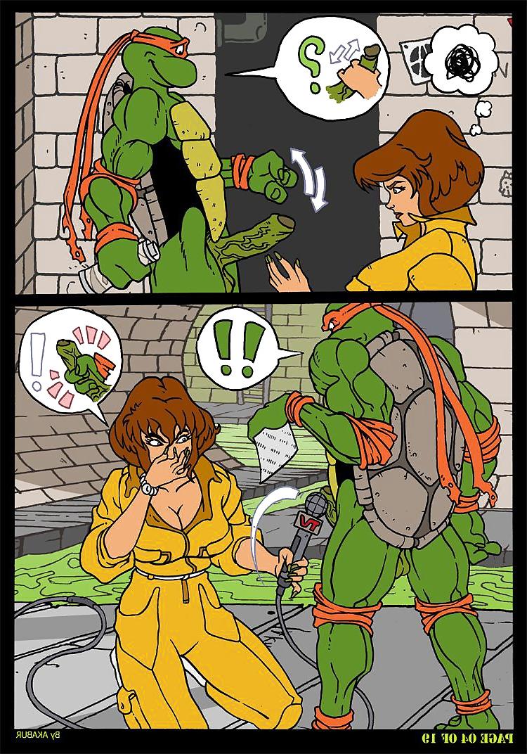 23P NINJA TURTLES
