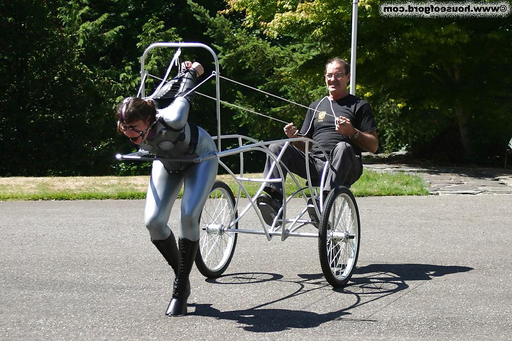10P Bdsm pony girl
