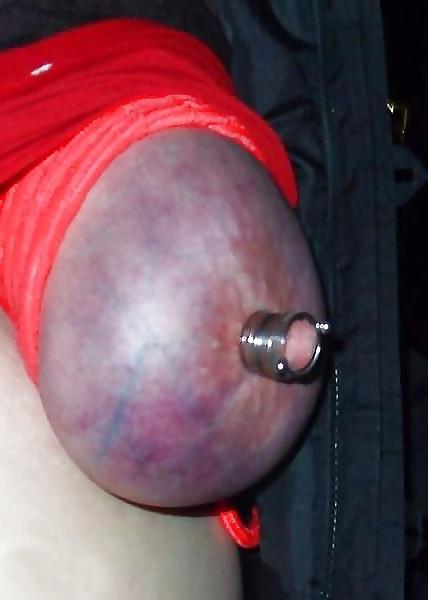 25P Tied Purple Tits