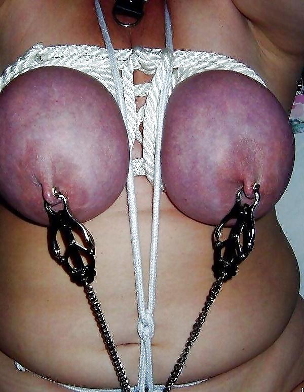 25P Tied Purple Tits