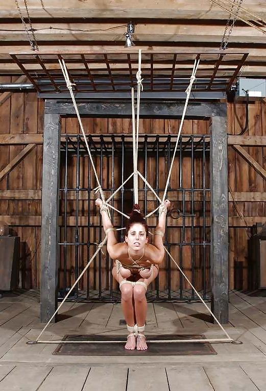25P Lavender Rayne bdsm mix