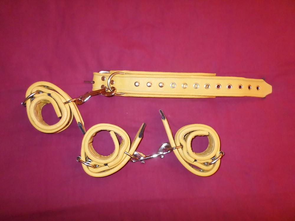 10P Master's BDSM fetish toys