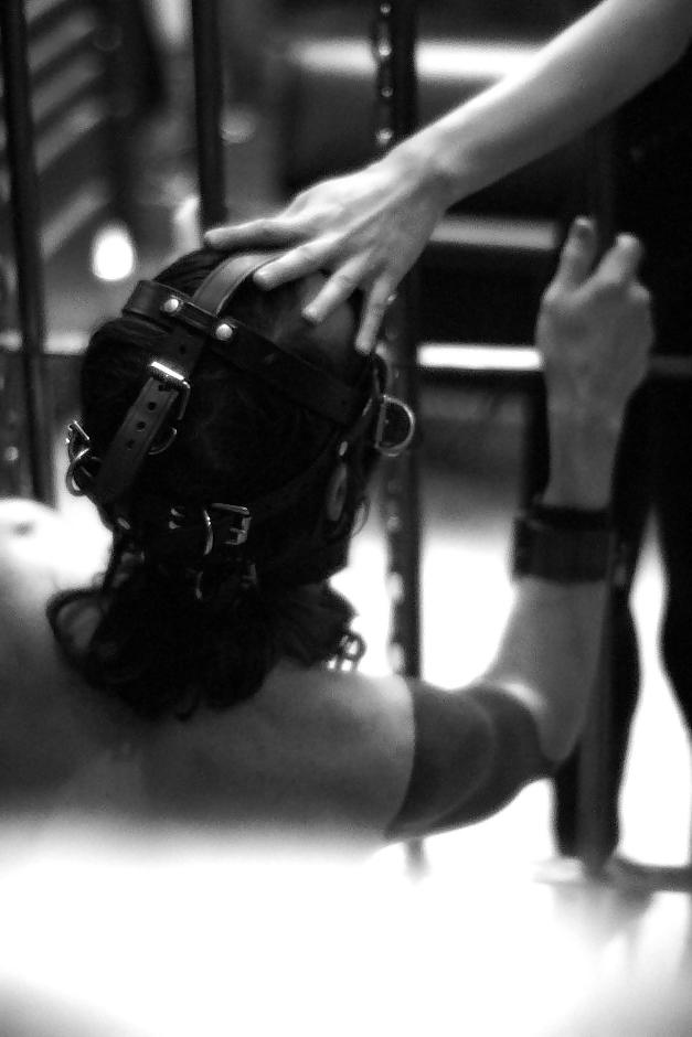 16P Domina – gefangen im Käfig