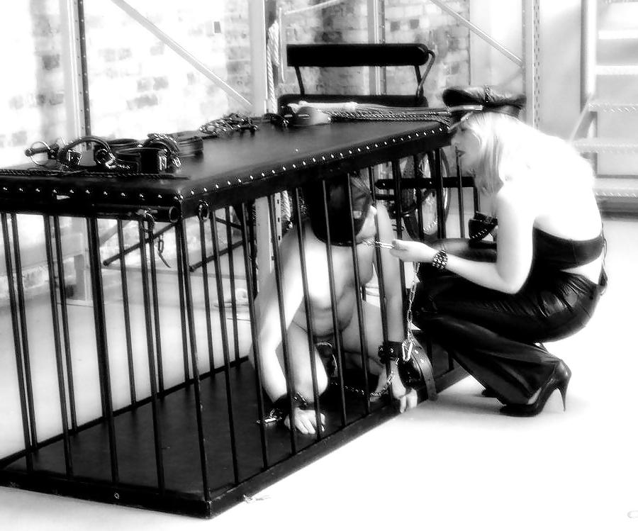 16P Domina – gefangen im Käfig