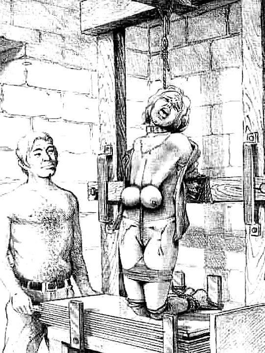16P BDSM - Torture Draw 04