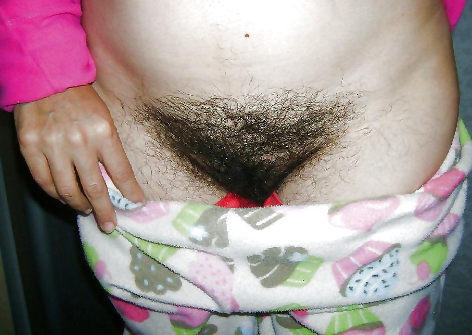 24P FIGA PELOSA 32 HAIRY PUSSY 32 CONO PELUDO CHATTE POILUE