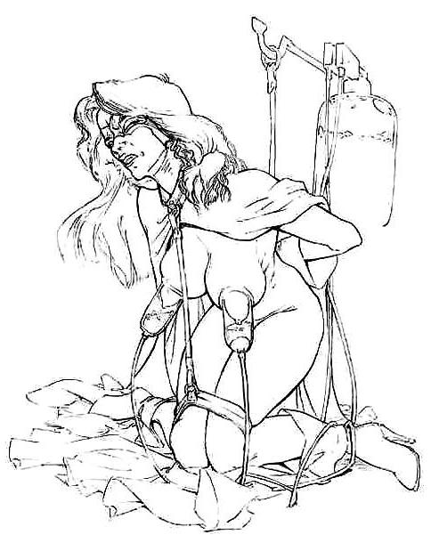 14P Classic Nasty BDSM Artwork