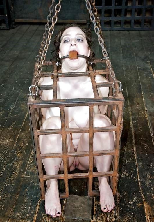 25P Dixon Mason bdsm mix