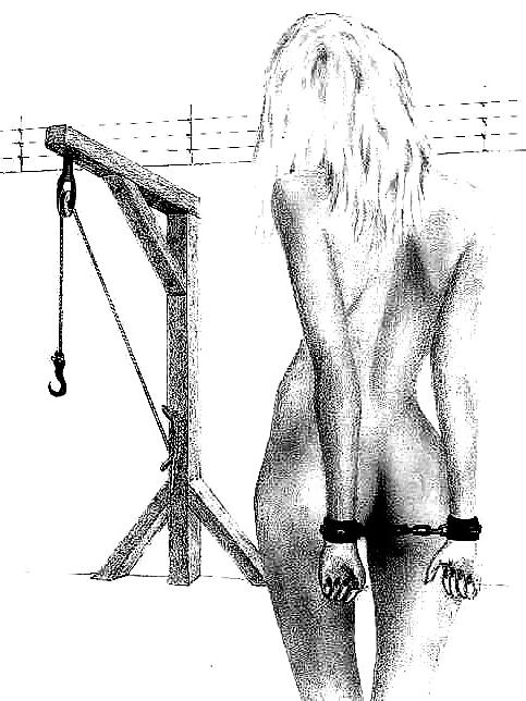 25P Bdsm Torture Draw 06