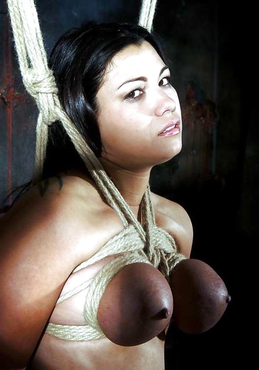 25P Dana Vixen bdsm mix