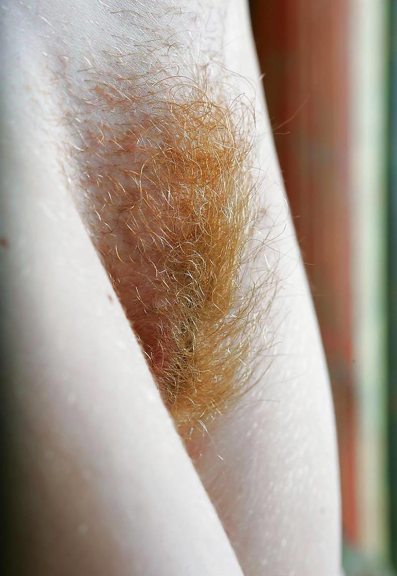 25P Redheads with hairy pussies