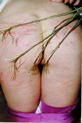 25P BDSM Misc Spanked Female asses # 1